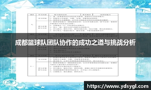 成都篮球队团队协作的成功之道与挑战分析