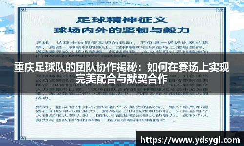 重庆足球队的团队协作揭秘：如何在赛场上实现完美配合与默契合作