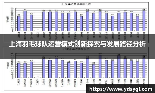 上海羽毛球队运营模式创新探索与发展路径分析
