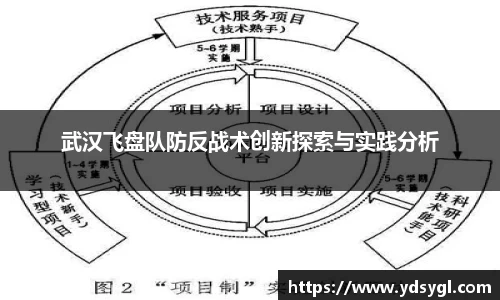 武汉飞盘队防反战术创新探索与实践分析
