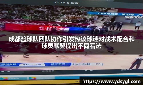 成都篮球队团队协作引发热议球迷对战术配合和球员默契提出不同看法