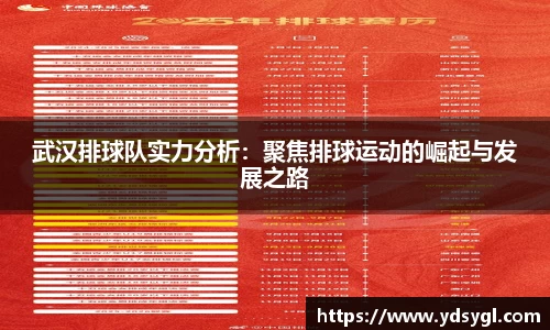 武汉排球队实力分析：聚焦排球运动的崛起与发展之路