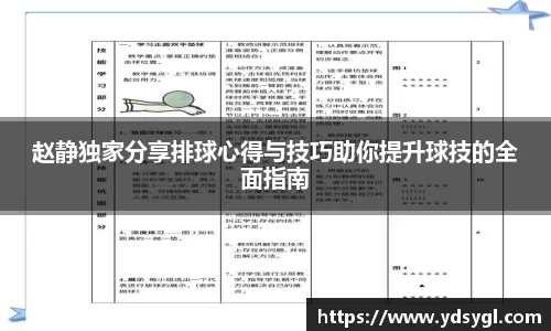 赵静独家分享排球心得与技巧助你提升球技的全面指南