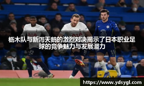 枥木队与新泻天鹅的激烈对决揭示了日本职业足球的竞争魅力与发展潜力