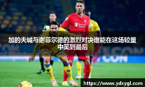 加的夫城与谢菲尔德的激烈对决谁能在这场较量中笑到最后