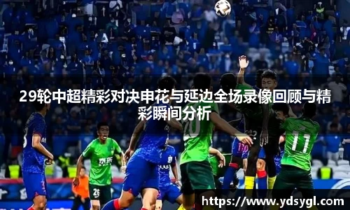 29轮中超精彩对决申花与延边全场录像回顾与精彩瞬间分析