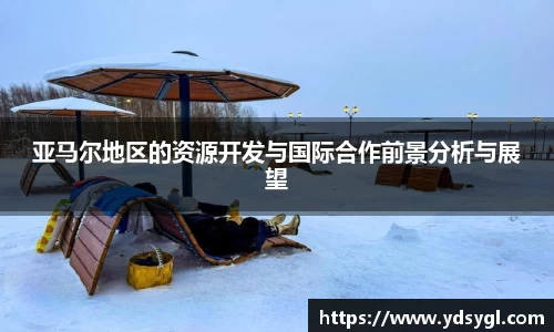 亚马尔地区的资源开发与国际合作前景分析与展望