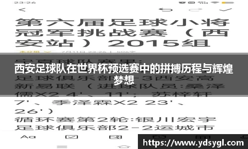 西安足球队在世界杯预选赛中的拼搏历程与辉煌梦想