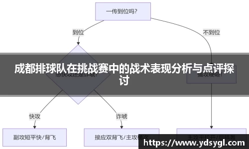 成都排球队在挑战赛中的战术表现分析与点评探讨