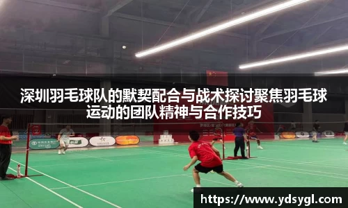 深圳羽毛球队的默契配合与战术探讨聚焦羽毛球运动的团队精神与合作技巧