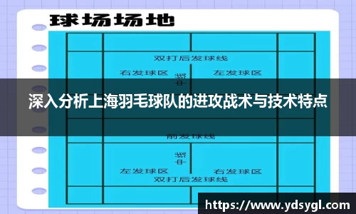 深入分析上海羽毛球队的进攻战术与技术特点