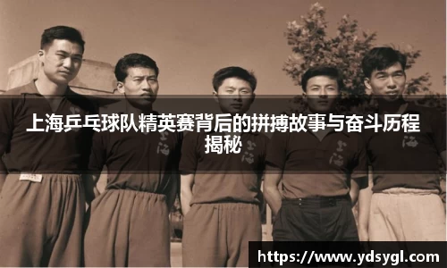 上海乒乓球队精英赛背后的拼搏故事与奋斗历程揭秘