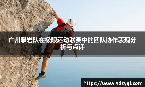 广州攀岩队在极限运动联赛中的团队协作表现分析与点评